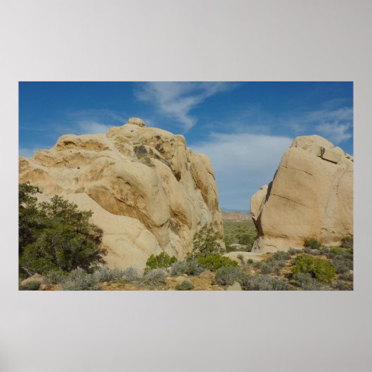Jumbo Rocks in Joshua Tree National Park Poster (Voorkant)