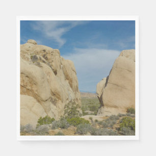 Jumbo Rocks in Nationaal Park Joshua Tree Servet
