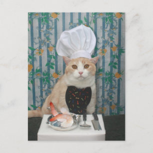 Jumbo Shrimpies! Briefkaart