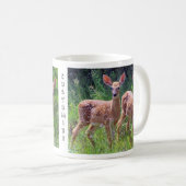 Jumeaux de faon dans la tasse de Hawkweed (Devant droit)