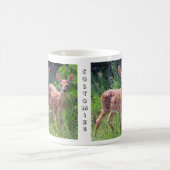 Jumeaux de faon dans la tasse de Hawkweed (Centre)