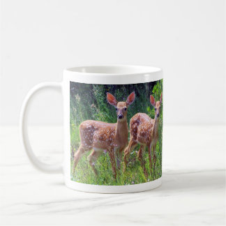 Jumeaux de faon dans la tasse de Hawkweed
