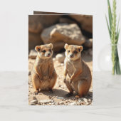 Jumeaux Quokka australiens, cartes d'anniversaire (Dos)