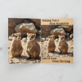 Jumeaux Quokka australiens, cartes d'anniversaire (Intérieur)