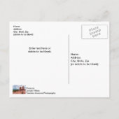 Jumeaux siamois Colorado Sunburst Carte postale (Dos)