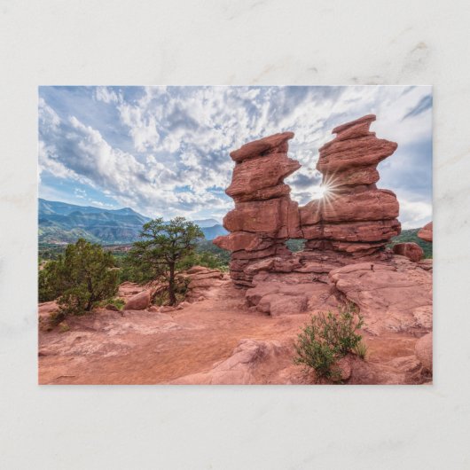 Jumeaux siamois Colorado Sunburst Carte postale (Devant)