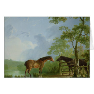 Jument et étalon dans un paysage