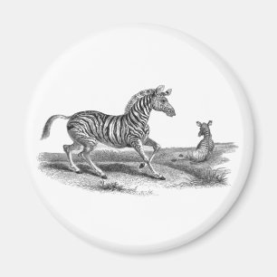 Jument vintage de zèbre d'art et aimant de faune d