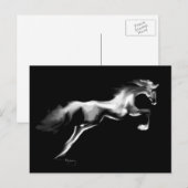 Jumper ~ Carte postale (Devant / Derrière)