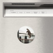 Jumping Brooklyn Bridge Magnet (In Situ (Lave-vaisselle))