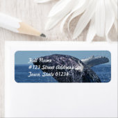 Jumping Bultrug Whale Mailing Labels (Insitu)