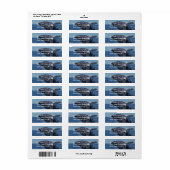 Jumping Bultrug Whale Mailing Labels (Full Sheet)