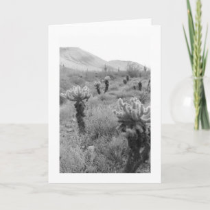 Jumping Cholla Cactus Desert Photo Wenskaart Kaart