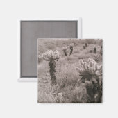 Jumping Cholla Cactus Desert Refkoelkast Magnet Magneet (Voorkant / Achterkant)