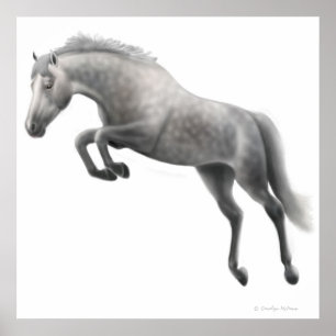 Jumping Dapped Gray Horse Poster