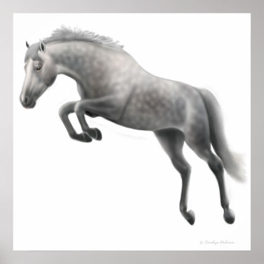 Jumping Dapped Gray Horse Poster (Voorkant)