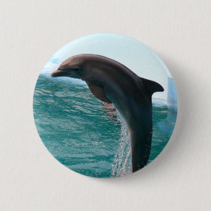 Jumping Dolphin Button