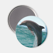 Jumping Dolphin Magnet Magneet (Voorkant / Achterkant)