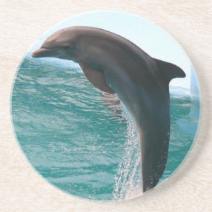Jumping Dolphin Onderzetter