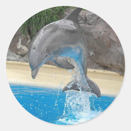 Jumping Dolphin Sticker (Voorkant)