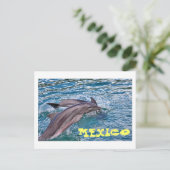 Jumping Dolphins Mexico Briefkaart (Staand voorkant)