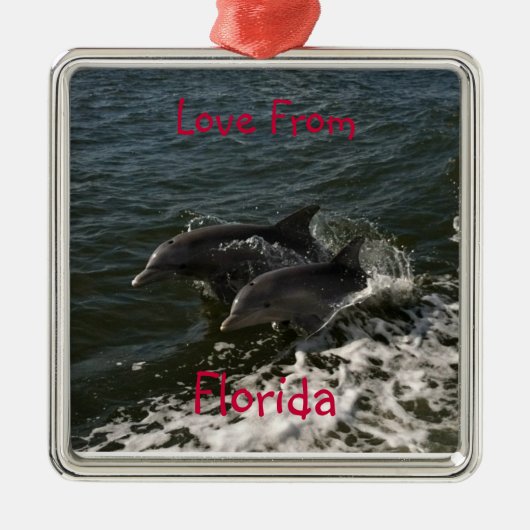 Jumping Dolphins Ornament (Voorkant)
