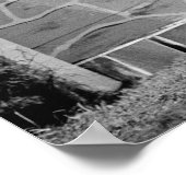 Jumping Horse Circa 1911 Poster (Hoek)