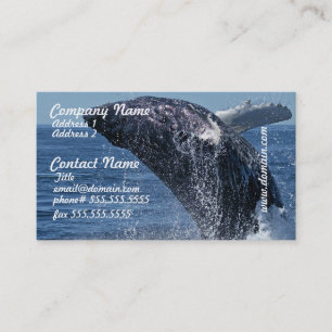 Jumping Humpback Whale Visitekaartjes
