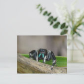 Jumping Jack. Briefkaart (Staand voorkant)