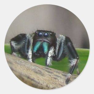 Jumping Jack Stickers