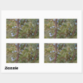 Jumping Junipers Rechthoekige Sticker (Vel)