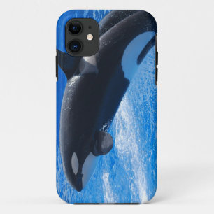 Jumping Orca Whale iPhone 11 Hoesje