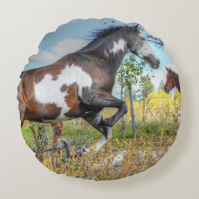 Jumping Pinto Paint Stallion op een paardenschaal Rond Kussen (Voorkant)