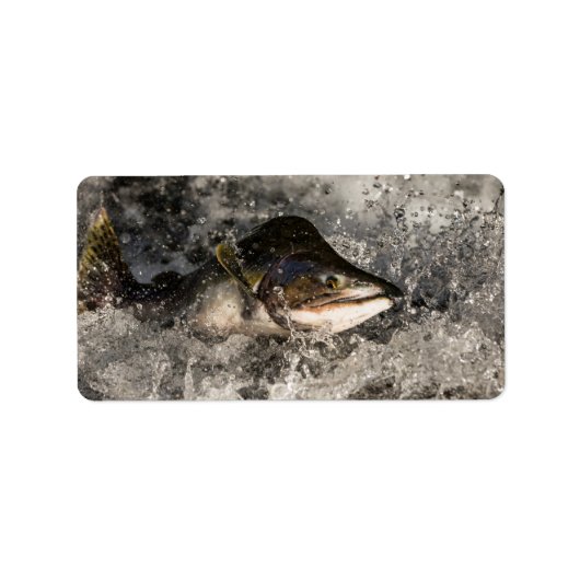 Jumping Salmon Etiket (Voorkant)