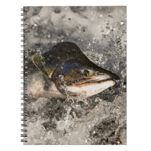 Jumping Salmon Notitieboek