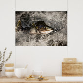 Jumping Salmon Poster (Keuken)