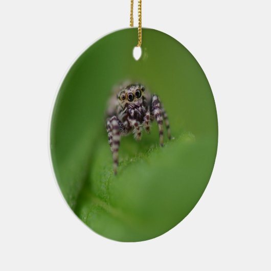 Jumping Spider-kerstversiering Keramisch Ornament (Rechts)