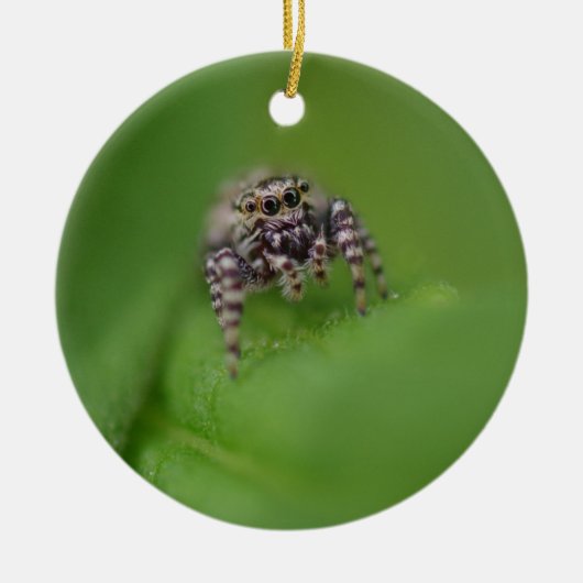 Jumping Spider-kerstversiering Keramisch Ornament (Voorkant)