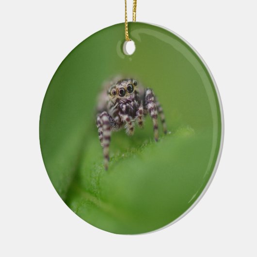 Jumping Spider-kerstversiering Keramisch Ornament (Links)