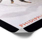 Jumping Spider set Poster (Hoek)