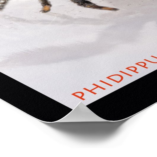 Jumping Spider set Poster (Hoek)