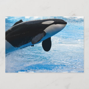 Jumping Whale Invitation Kaart