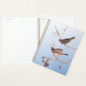 Junco Audubon, à l'oeil foncé, Oiseaux de neige su (Devant avec enveloppe)