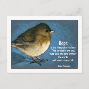 JUNCO BIRD MET GEZEGDE BRIEFKAART
