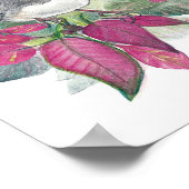 Junco Dark Eyed Bird Waterverf Art Print (Hoek)