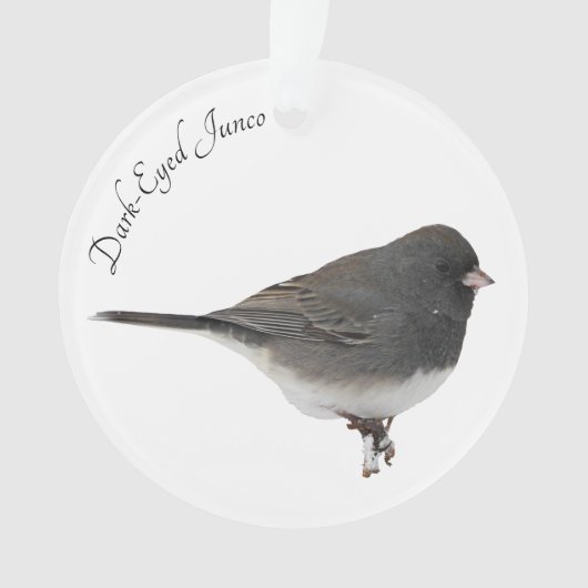 Junco de Dark-Eyed (devant)