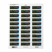 Junco Etiket (Full Sheet)