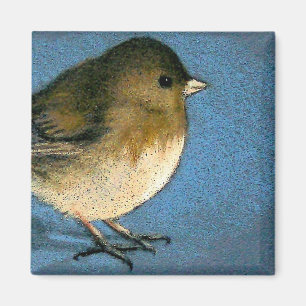 JUNCO VOGELTEKENING MAGNEET