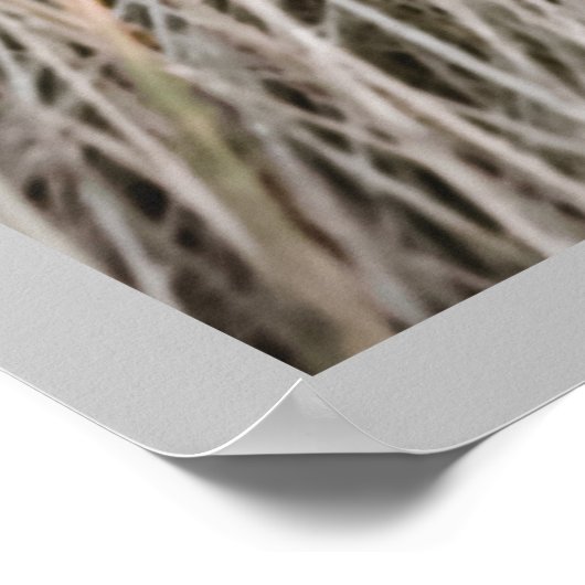 Junctie nr. 42a: Een met het universum Poster (Hoek)