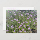 JUNE BRIEFKAART (Voorkant / Achterkant)